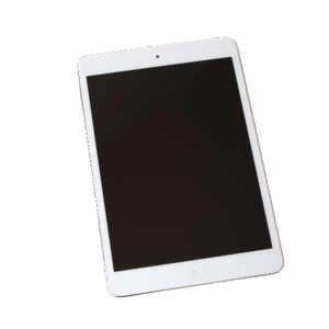 product (1)